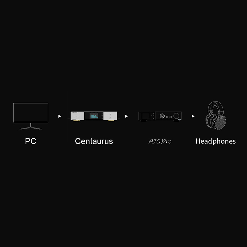 TOPPING Декодер Centaurus Полн – обзор и цена R2R Dac Balanced Xlr