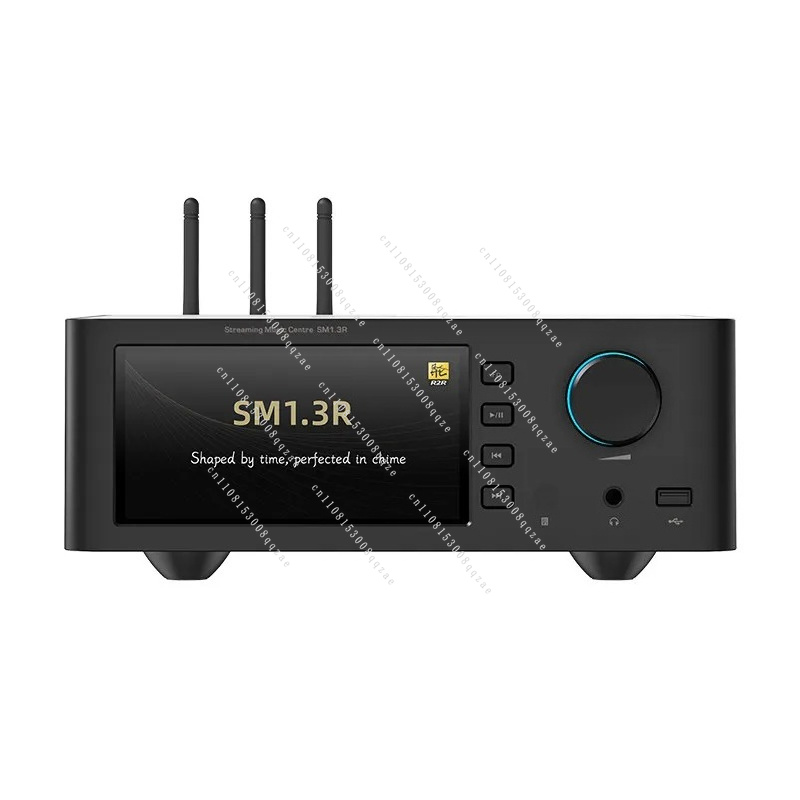 SM1.3R Сетевой стример с R2R D – обзор и цена Dac Streamer Network Player