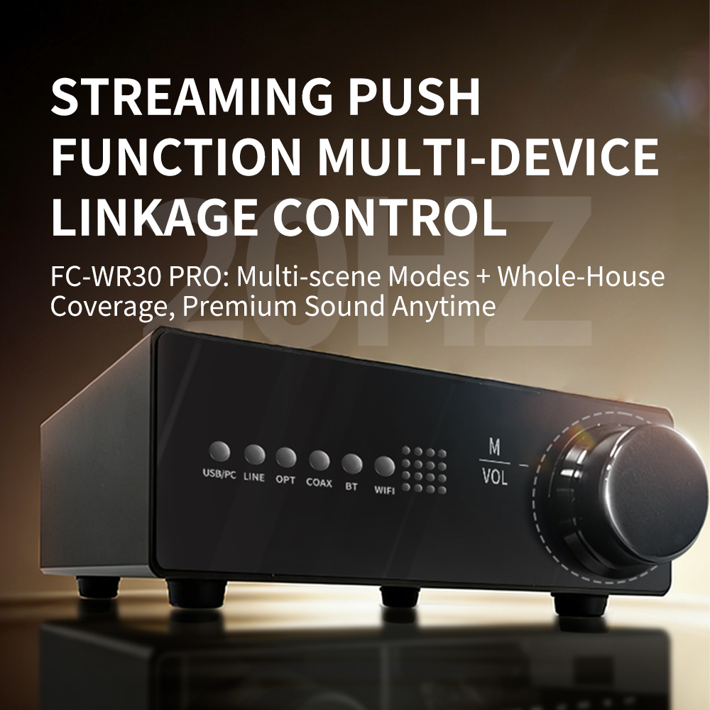 WR30 PRO WiFi Bluetooth Музыка – обзор и цена Dac Streamer Network Player
