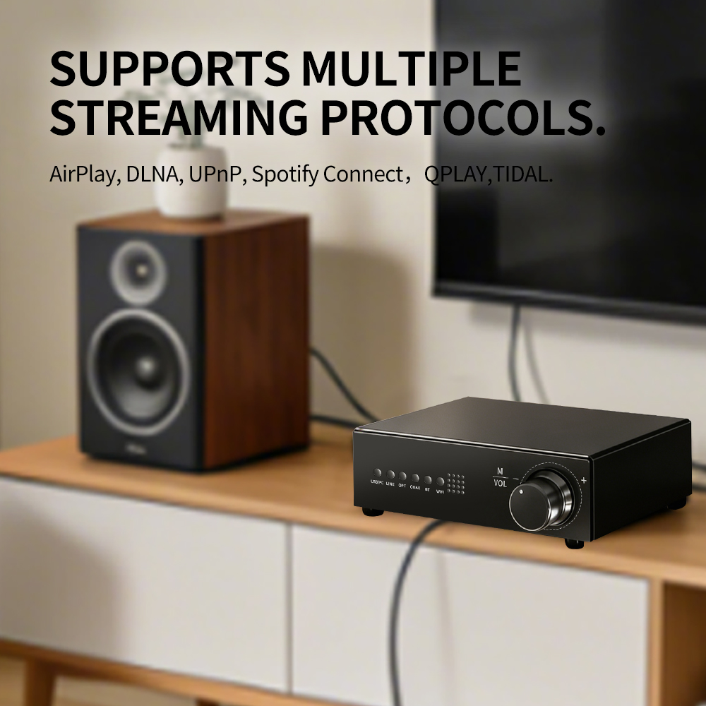 WR30 PRO WiFi Bluetooth Музыка – обзор и цена Dac Streamer Network Player