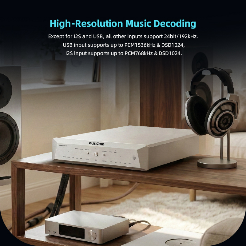 ЦАП MUSICIAN PEGASUS III R2R 2 – обзор и цена R2R Dac Balanced Xlr